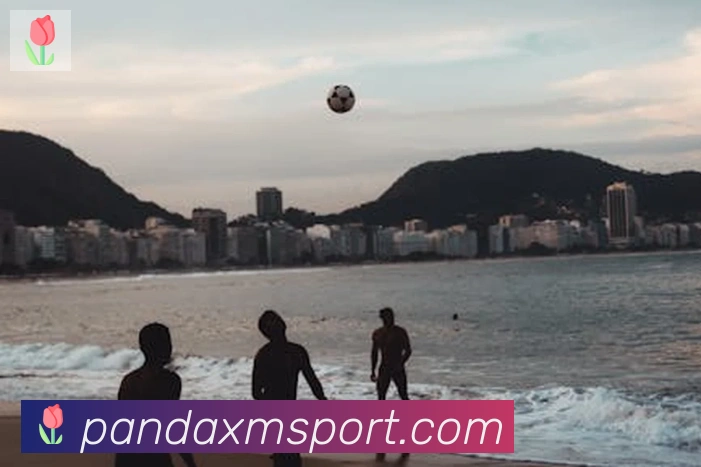 App Interface Preview