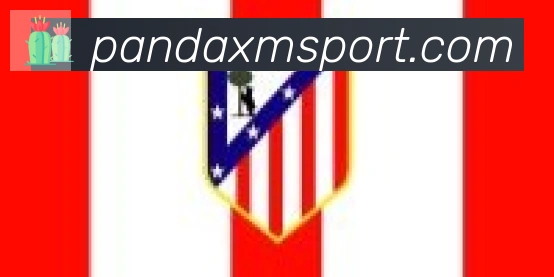 熊猫体育合作伙伴