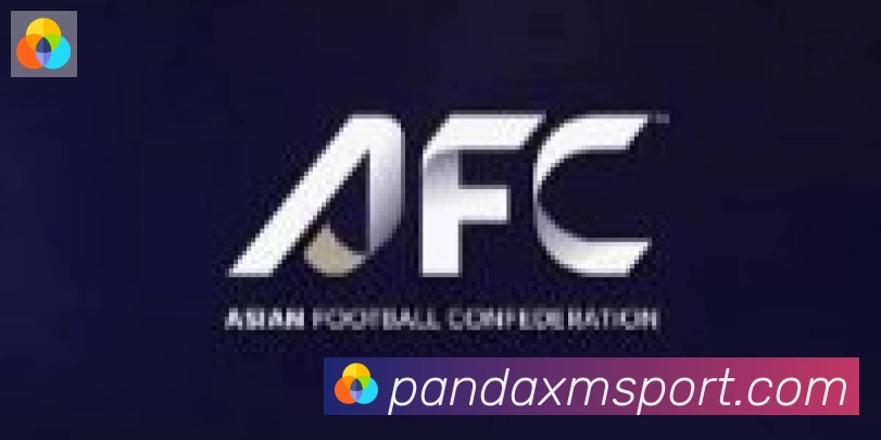 熊猫体育合作伙伴